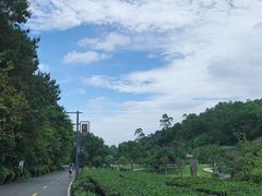 -神光山国家森林公园