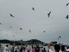 -海驴岛(荣成市)