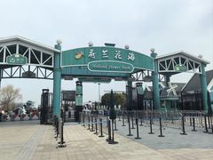 -荷兰花海