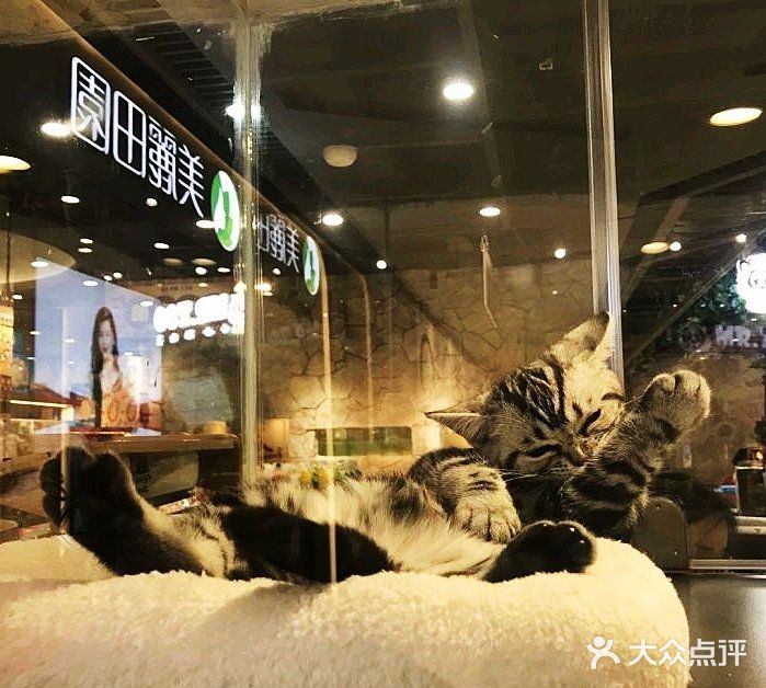 带宝贝一起给宝贝们玩耍吧!