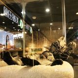 带宝贝一起给宝贝们玩耍吧！