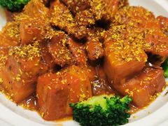 -大连湾旭日·家宴·海肠捞饭(马栏广场店)