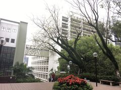 -香港大学