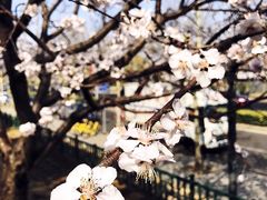 -玲珑塔公园