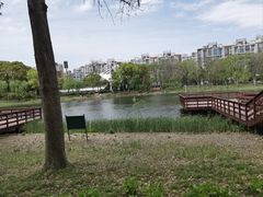 -新江湾城公园