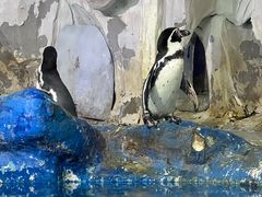 -太平洋海底世界