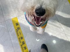 -中农国际动物医院24小时·猫科·骨科·急重症中心