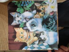 -李小姐の猫咖啡馆(五角场店)