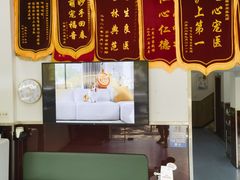 -顺强宠物诊所·狂犬免疫·夜诊·骨科(嘉定店)