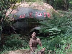 -铁山坪森林公园