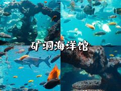 -长鹿旅游休博园