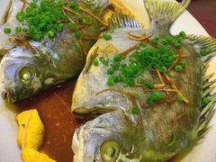 -隆都四季香饭店(碧海路店)