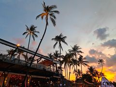 -Coco Tam’s