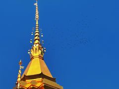 -西双版纳傣族园