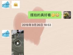 -宠物之家Pets Home 宠物寄养酒店