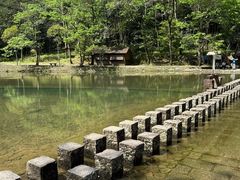 -龙湾潭国家森林公园