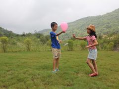 -武陵山森林公园