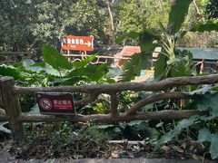 -海南槟榔谷黎苗文化旅游区