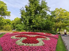 -上海共青森林公园