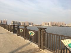 -南湖大桥