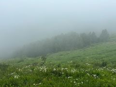 -灵山