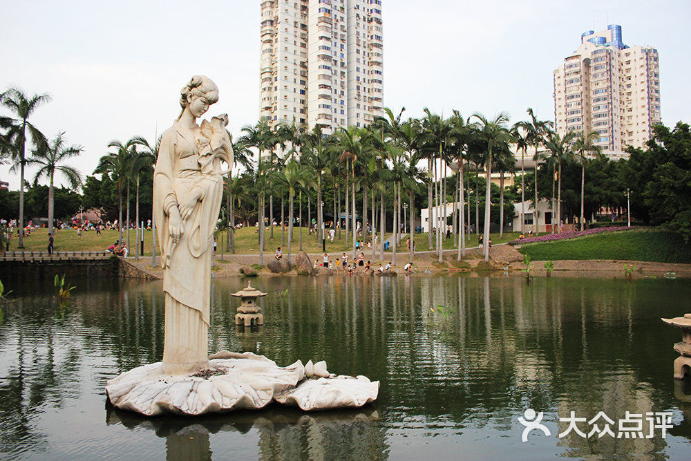 莲花公园-莲花公园图片-厦门周边游-大众点评网