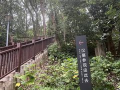 -马王堆汉墓遗址