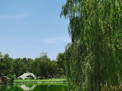 -康庄公园