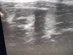 -佳怡动物医院·平价24小时·猫专科骨外科