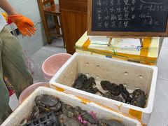-金螃蟹