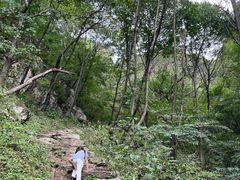 -王顺山国家森林公园