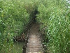 -梁鸿国家湿地公园