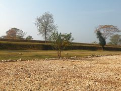 -盘龙城国家考古遗址公园