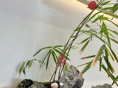-俏立方·15年新楚菜