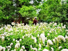 -国家植物园南园