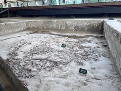 -金沙遗址博物馆