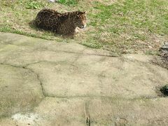 -杭州野生动物世界