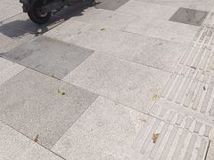 -李师傅脆肚(华强北店)