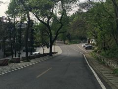-木兰云雾山