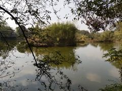 -西溪国家湿地公园