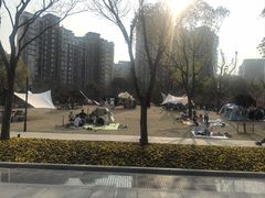 -新江湾城公园