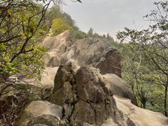 -南山植物园