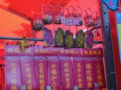 -越秀西湖花市(广州城市广场花卉店)