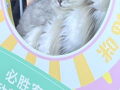 -必胜客(江东万达店)