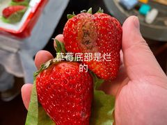 -西郊国际农产品交易中心