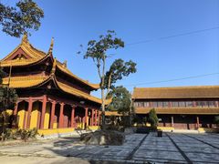 -圆陀角旅游度假区-玉龙寺