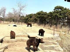 -沈阳森林动物园