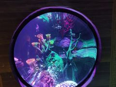 -沈阳海洋探索中心