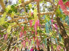 -牛鱼嘴原始生态风景区