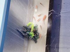 -邵汇大虾火锅(鲁迅路店)